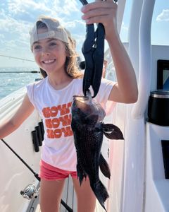 A photograph of a sea bass caught while fishing in NJ