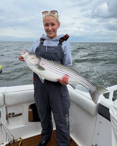 Striped Bass caught while fishing in NJ