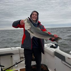 Striped bass caught while fishing in NJ