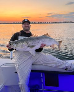 Striped bass caught while fishing in NJ