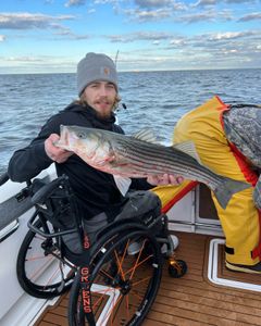 Striped bass fishing in NJ