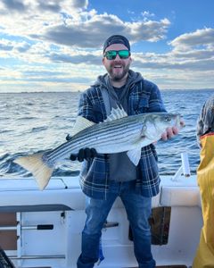 Striped bass caught in NJ