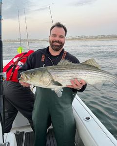 Striped bass caught in NJ