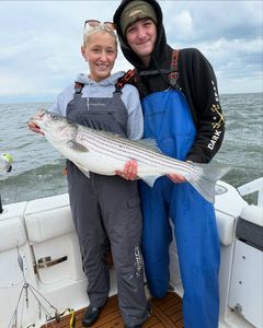Striped bass caught in New Jersey