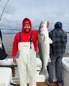 Striped bass caught while fishing in Point Pleasant