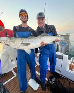 Striped bass fishing in Point Pleasant