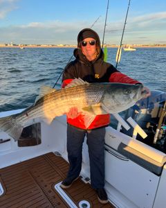 Striped bass caught in Point Pleasant, fishing
