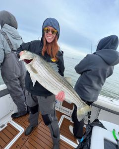 Striped bass caught while fishing in Point Pleasant