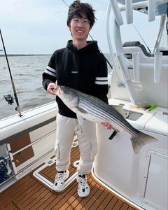 Striped bass caught fishing at Point Pleasant