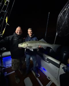 Striped Bass fishing catch in Point Pleasant