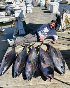 4 Yellowfin Tuna caught while fishing in NJ
