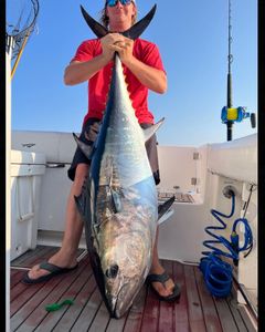 Yellowfin Tuna, 43 inches, fishing in Point Pleasant