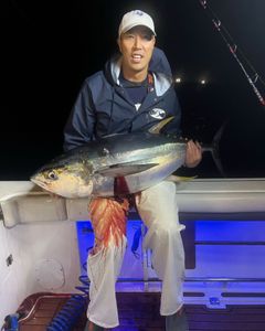 Yellowfin tuna fish caught in Point Pleasant
