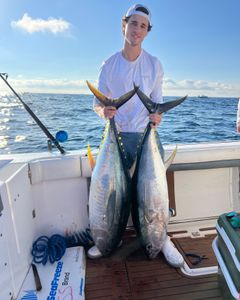 Two big yellowfin tuna caught in Point Pleasant