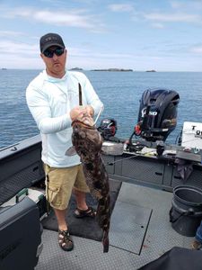 Angler with a large northern snakehead fish catch in North Bend
