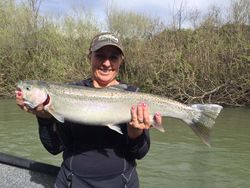 Rainbow trout, 29 inches, fishing in North Bend