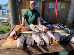 1 person fishing in OR