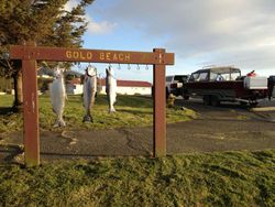 3 pink salmon caught while fishing in OR
