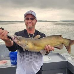 Premier Lake Erie Fishing Charters, Catfish Fishin