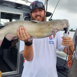 Prime spots for Lake Erie fishing, Fishing Catfish