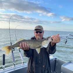 Healthy Walleye on the Line!