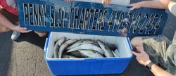 A fishing trip in OH