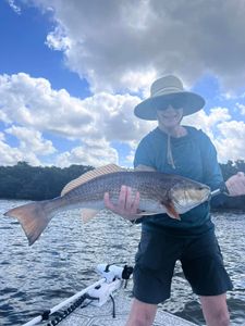 Fish-Species