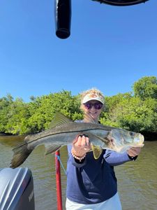 Strong snook catch along the mangroves.