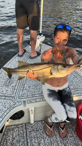 Snook, a 24-inch fish, caught while fishing in FL