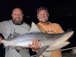 Tampa Bay, FL Shark Fishing