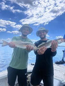 Fish-Species