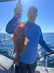 Angler with a gag grouper fish in FL