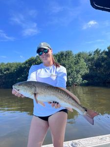 Redfish caught in Florida while fishing