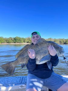 Solitary angler fishing in Riverview