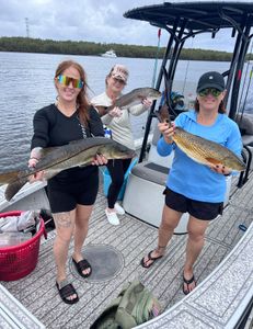 3 snook and redfish caught fishing in Riverview