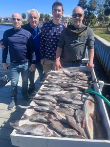Two black drum fish, 18 inches long, caught in Riverview