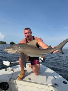 Bull shark caught fishing in Riverview FL displayed on boat deck