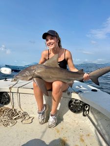 Bull shark caught fishing in Riverview FL displayed on boat deck