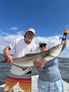 Cobia fish caught by two people in FL