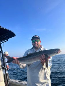 Cobia fish caught in Riverview
