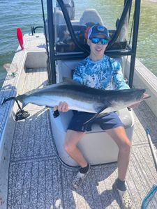 Cobia fishing in FL