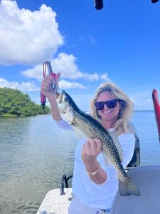 A cutthroat trout caught while fishing in FL