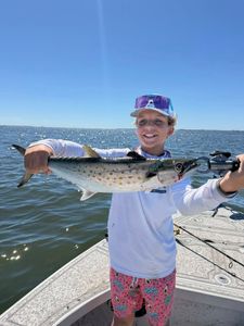 A lone cero mackerel caught while fishing in FL