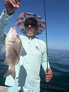 Fishing catch displayed on boat in Riverview FL waters