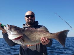 Fishing in Florida with a single fish
