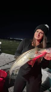 A person fishing in FL