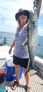 Angler with a Spanish mackerel catch in FL