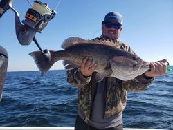 Gag Grouper fish caught while fishing in FL