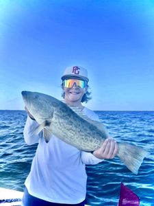 Gag Grouper fish caught in Riverview