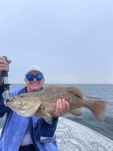 Gag grouper caught by angler in Riverview